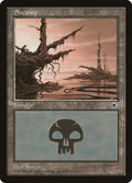 Swamp (Hanging Moss) Magic Portal image 0