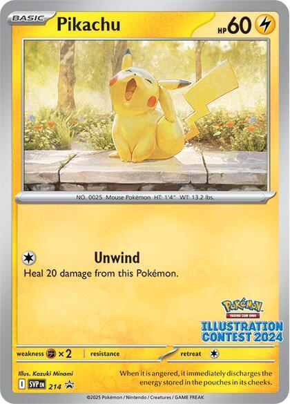 Pikachu #214 Pokemon Promo