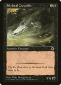 Skeletal Crocodile Magic Portal image 0
