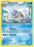 Wartortle #30 Pokemon Boundaries Crossed image 0