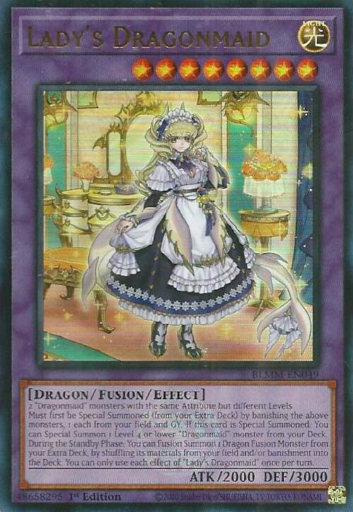 Lady's Dragonmaid BLMM-EN049 image 0