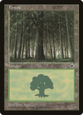 Forest (Large Middle) Magic Portal image 0