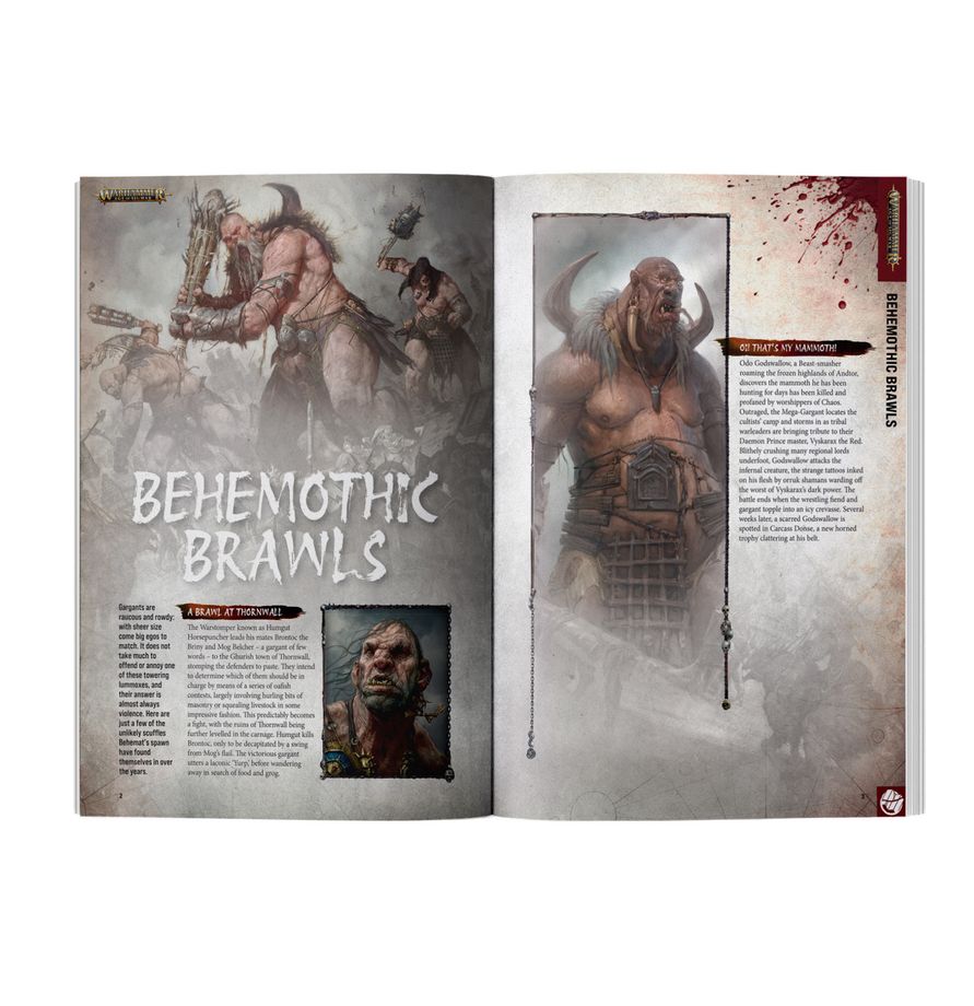 White Dwarf Issue #529