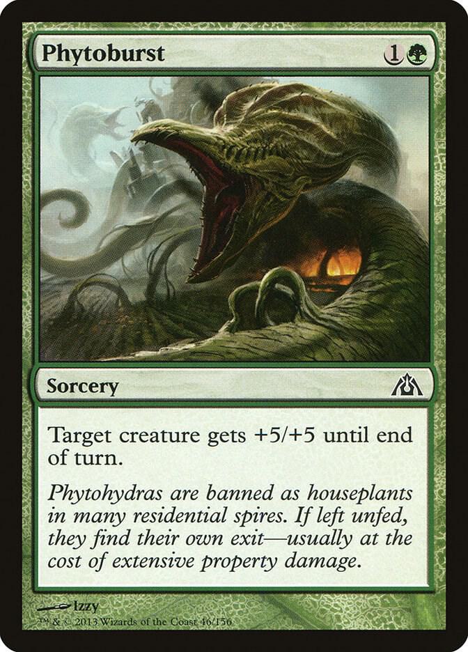 Phytoburst #46 Magic Dragons Maze image 0