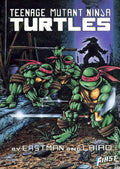 Teenage Mutant Ninja Turtles #1 Graphic Novel (1986) image 0