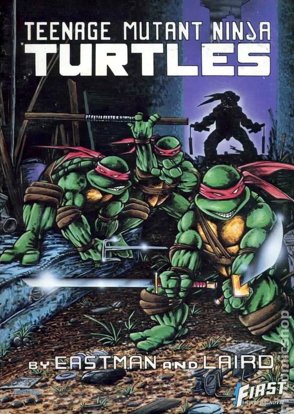 Teenage Mutant Ninja Turtles #1 Graphic Novel (1986) image 0