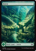 Forest #276 Magic Tarkir: Dragonstorm image 0