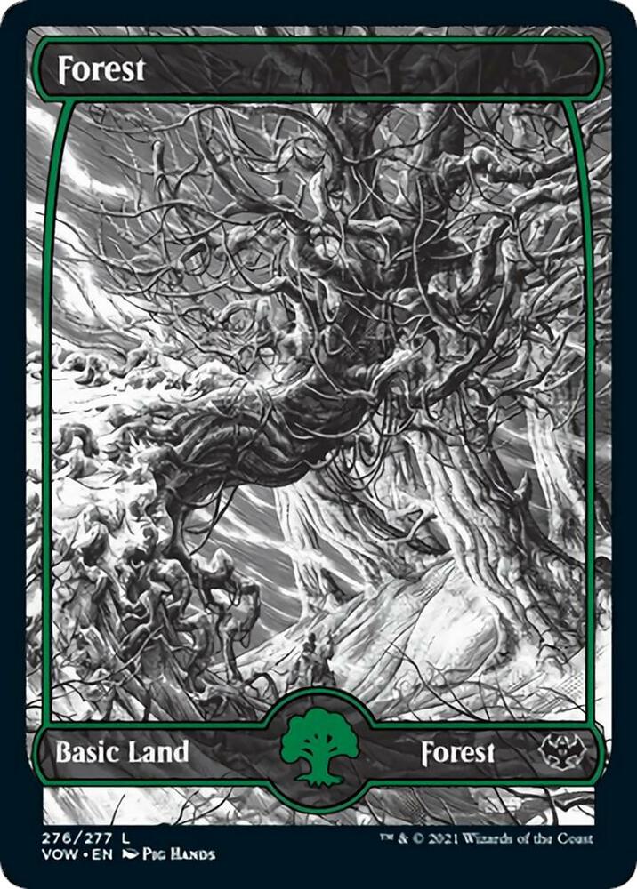 Forest #276 Magic Innistrad: Crimson Vow image 0
